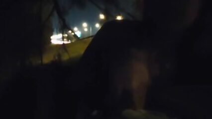 Девушка делает минет парню на природе поздним вечером